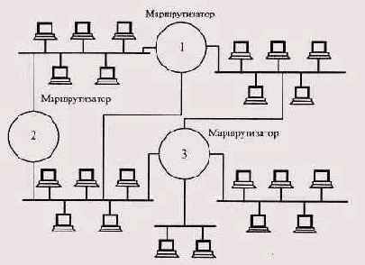 Введение в локальные сети