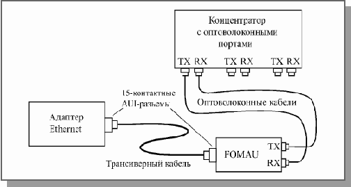 Основы локальных сетей