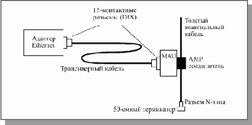 Основы локальных сетей