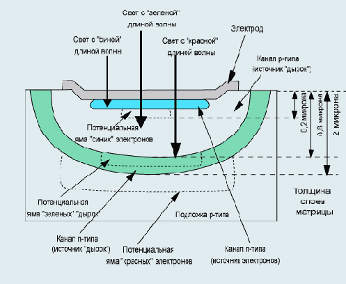   Foveon 