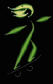   Photoshop