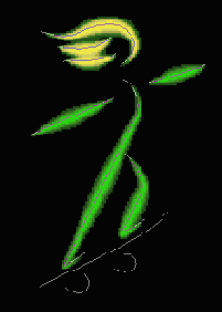   Photoshop