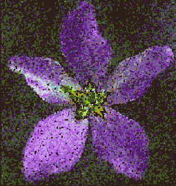  Pointillize ()  Facet ()