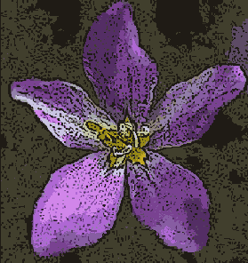  Poster Edges ( )  Smart Blur ( )