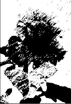  Graphic Pen (  )  Palette Knife ()