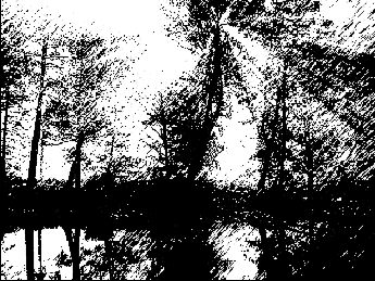  Graphic Pen (  )  Palette Knife ()