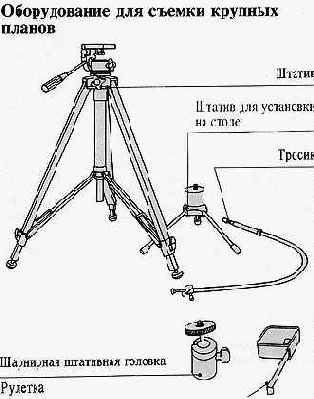 Тонкости фотосъемки