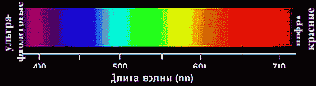 Тонкости фотосъемки