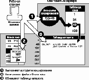   NetWare 4.11
