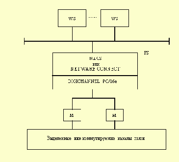   NetWare

