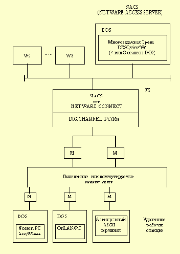   NetWare
