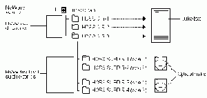   NetWare
