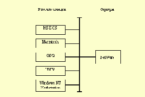   NetWare
