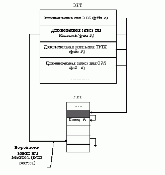   NetWare
