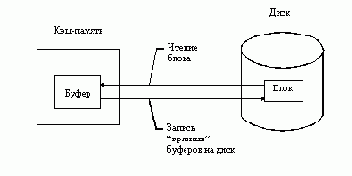   NetWare
