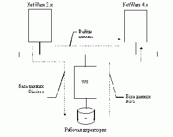   NetWare
