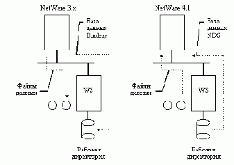   NetWare
