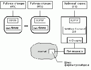   NetWare
