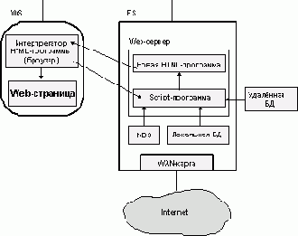   NetWare

