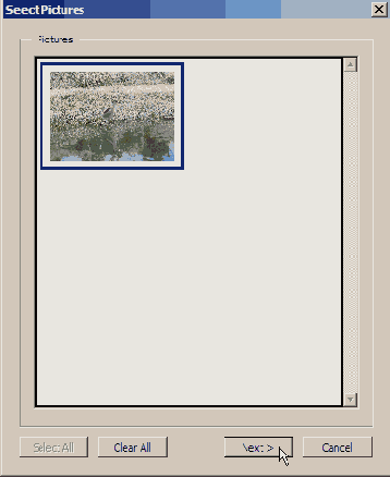   Layout Sizes 