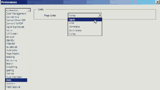   Pages 