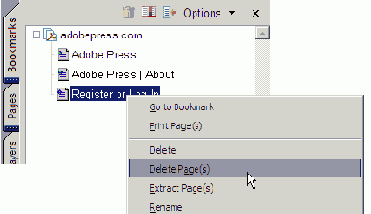   PDF 